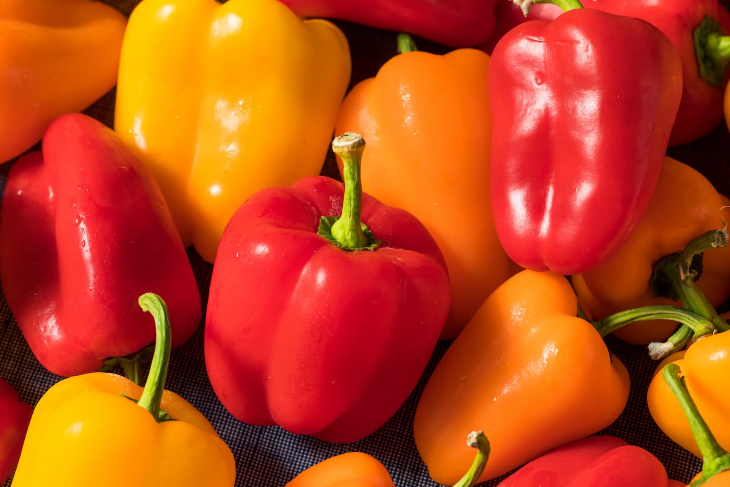 An image of Raw Colorful Mini Bell Peppers.