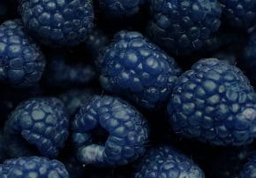 Blue Raspberries: What You Need To Know