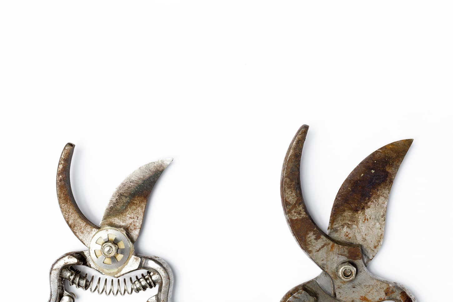 An image of scissors garden tool on white background.