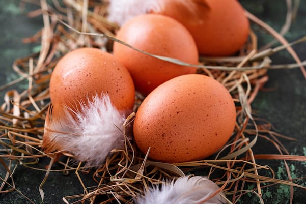 An image of Raw chicken eggs on straw.