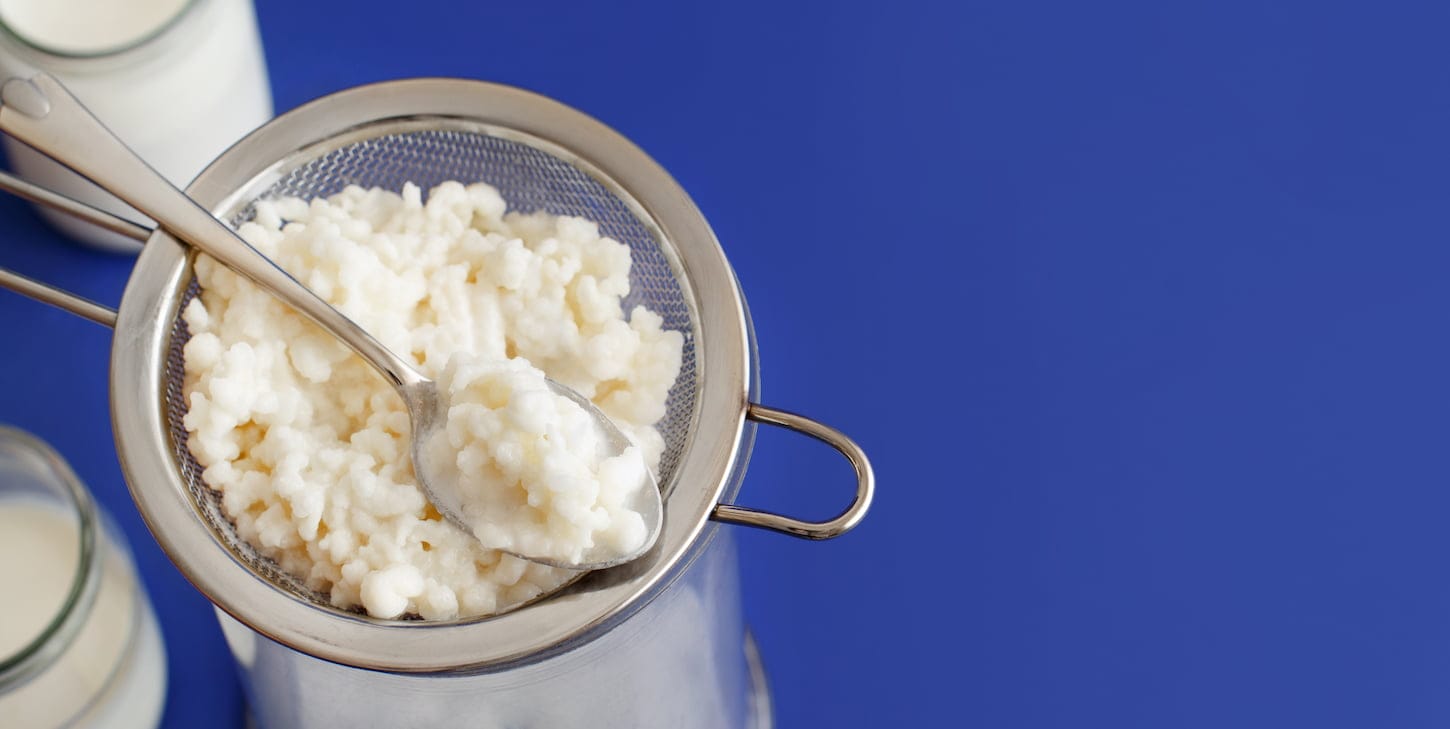 An image of fermented drink kefir in small bottles and kefir grains.