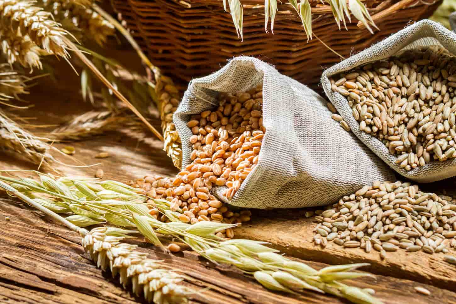An image of bags with cereal grains.
