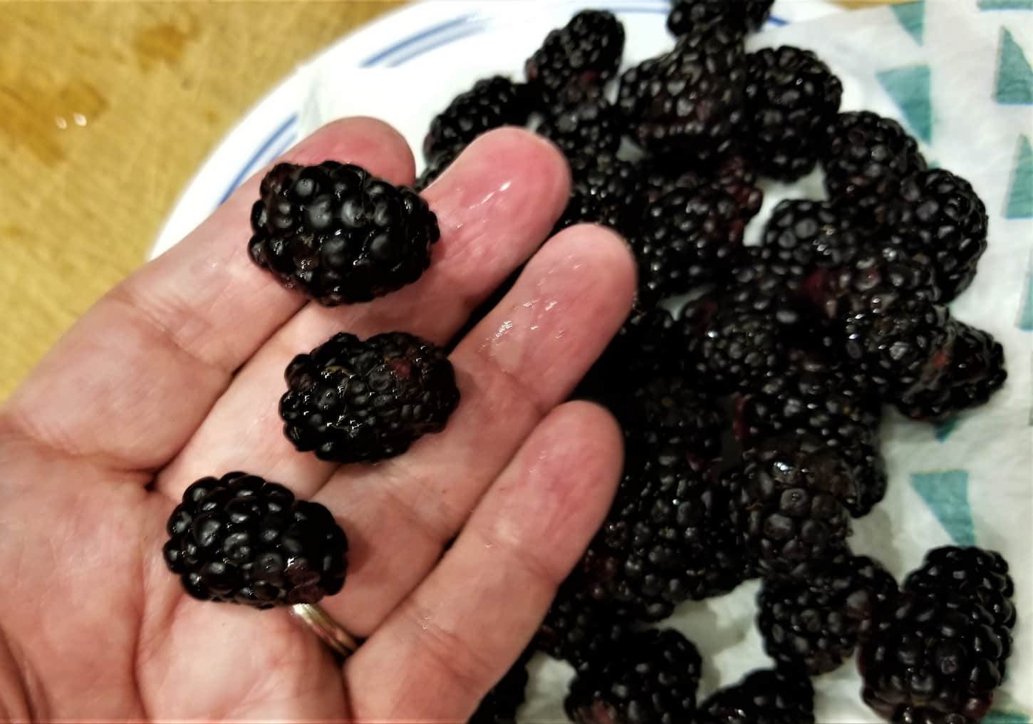 An image of freshly picked boysenberries in a close-up shot.