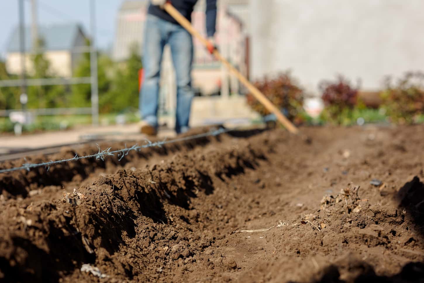 An image of a man digging the ground for planting crops. Hands of man who cultivated beds for planting vegetables and greenery. Eco farm products