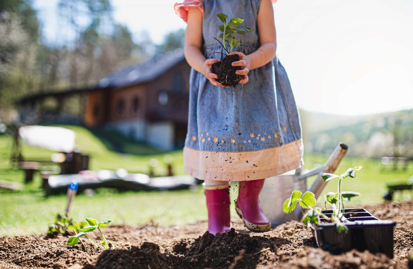 An image of an unrecognizable small girl with a strawberry plant in a garden, a sustainable lifestyle concept.