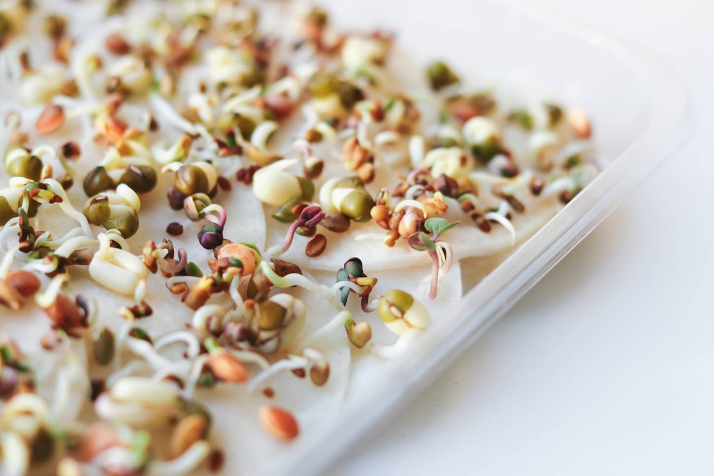 An image of various seed germination in a white background.