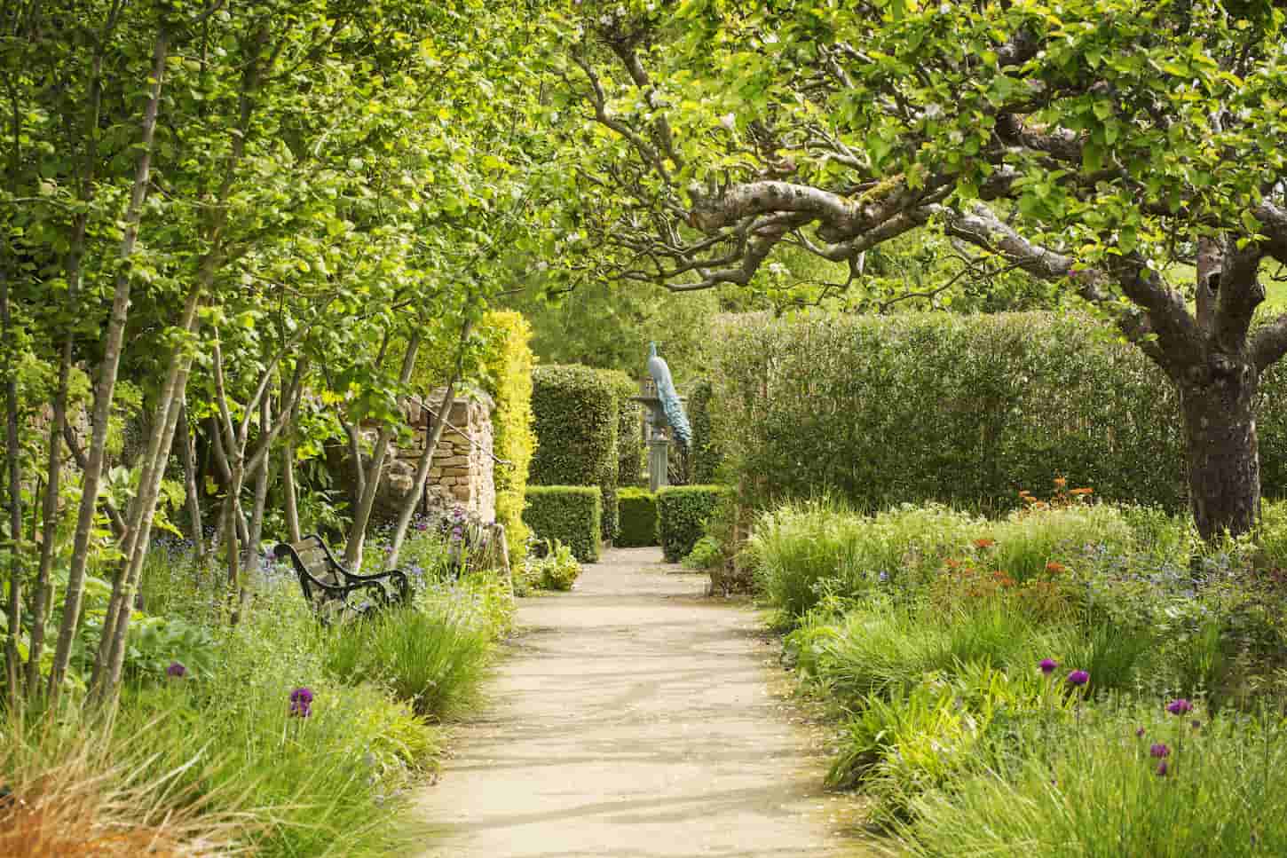 An image of a path between flower borders in garden.