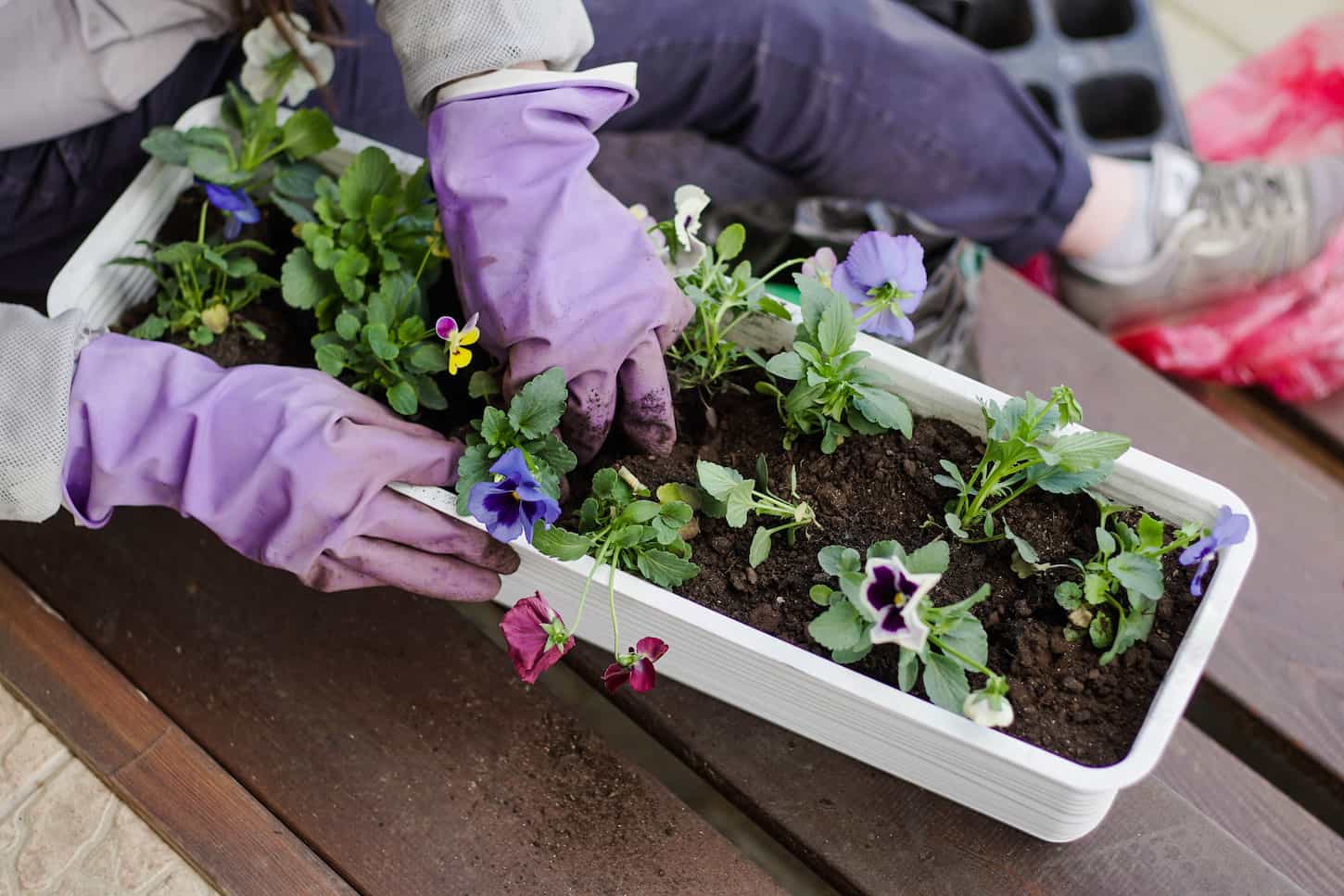 Container Gardening in Small Spaces: A Beginner’s Guide