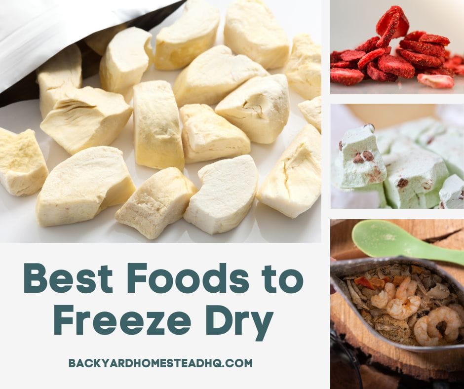 A collage of various freeze-dried foods including bananas, ice cream, strawberries, and an MRE.
