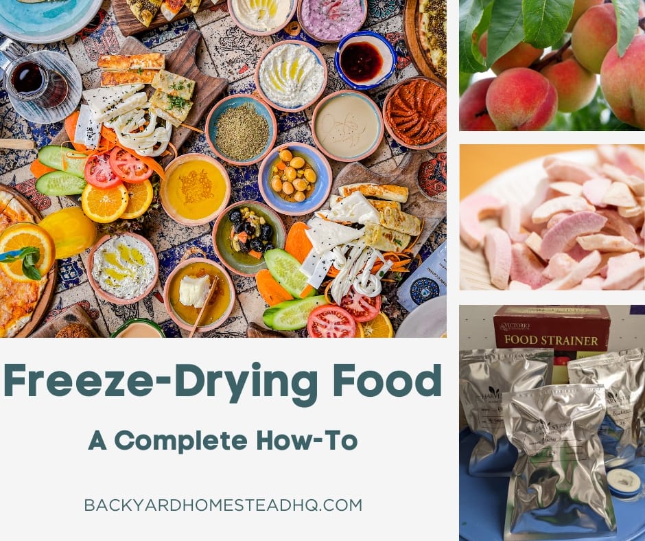 A collage of images showing foods before freeze-drying and peaches before, after freeze-drying, and after being packaged.