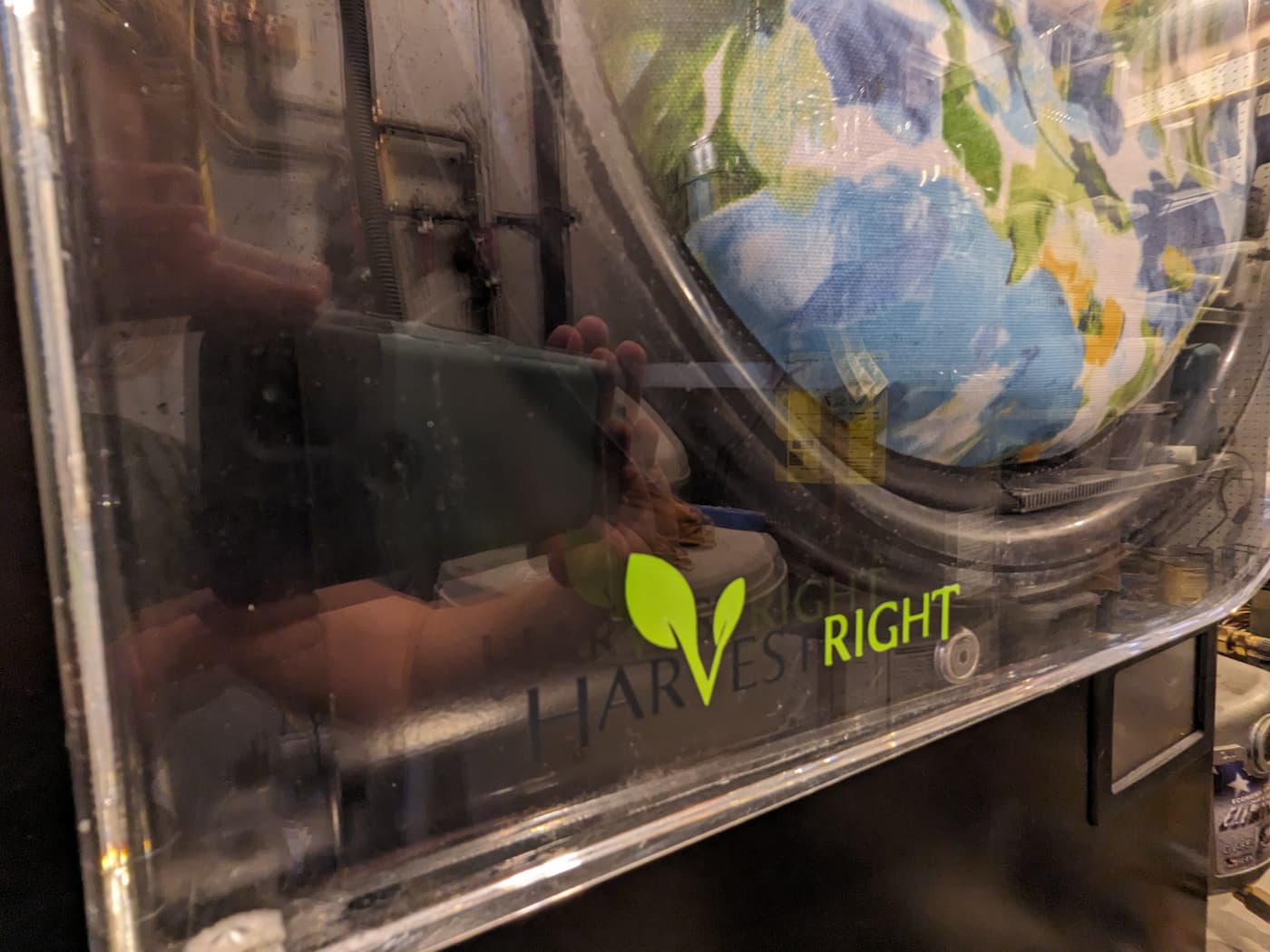 How to Freeze Dry Food: Expert Tips for Preservation